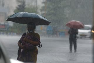 kerala rain updates  red alert in kerala  red alert in districts  സംസ്ഥാനത്ത് മഴ  കേരളം മഴ മുന്നറിയിപ്പ്  ജില്ലകളിൽ റെഡ് അലർട്ട്