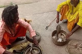 Nag Panchami Puja at Janjgir Champa