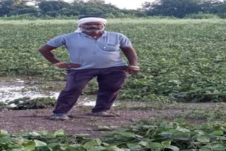 farmers suicide