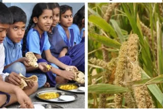 Reviving the super crop via nutrient-rich meals at Odisha's Anganwadis