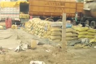 Rewa Fake Cement Business