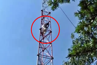 old man climbed tower in Chikkamagaluru, old man climbed tower over land issue, Chikkamagaluru news, ಚಿಕ್ಕಮಗಳೂರಿನಲ್ಲಿ ಟವರ್ ಏರಿದ ವೃದ್ಧ, ಜಮೀನು ವಿಚಾರವಾಗಿ ಟವರ್ ಏರಿದ ವೃದ್ಧ, ಚಿಕ್ಕಮಗಳೂರು ಸುದ್ದಿ,
