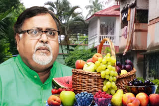 Partha Chatterjee used to have fruits worth Rs 2.5 lakh a month, says ED