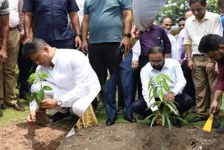 plantation-programme-held-in-guwahati