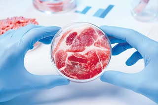 meat-prepare-in-labs-for-steel-reactors