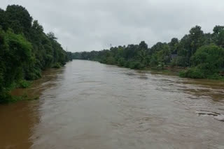 എല്ലാ താലൂക്കുകളിലും രാത്രിയിൽ മഴയുണ്ടായിരുന്നു.  കോട്ടയം മഴ  കോട്ടയത്ത് മഴക്കെടുതി  കോട്ടയത്ത് കനത്ത മഴ  മീനച്ചിലാർ ജലനിരപ്പ്  പാലാ മീനച്ചിലാർ ജലനിരപ്പ്  അപകടനിലക്ക് മുകളിൽ ജനലിരപ്പുള്ള പ്രദേശം കോട്ടയം  rain updates in Kottayam  kottayam meenachilar water level