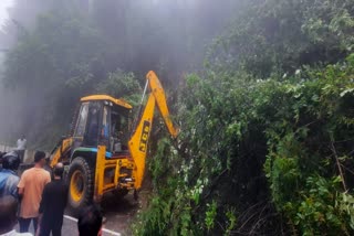 Trees fell on Mussoorie Dehradun road