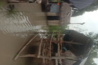 बगहा में बाढ़