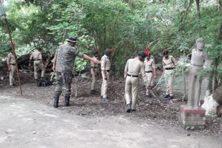 planting 10 lakh saplings to save environment