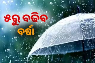 Weather Update: ଅଗଷ୍ଟ ୫ରୁ ରାଜ୍ୟରେ ବଢିବ ବର୍ଷା