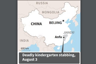 China kindergarten stabbing: police