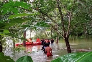 കോട്ടയത്ത് മണർകാട് വെള്ളക്കെട്ടിൽ വിദ്യാർഥി മുങ്ങി മരിച്ചു  student drowned in kottayam  വെള്ളക്കെട്ടിൽ വിദ്യാർഥി മുങ്ങി മരിച്ചു  കേരളം മഴ  കേരളം പുതിയ വാര്‍ത്തകള്‍  വെള്ളക്കെട്ടിൽ വിദ്യാർഥി മുങ്ങി മരിച്ചു