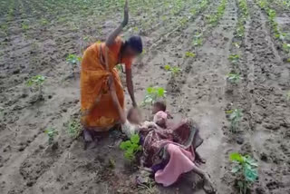 mother in law with daughter in law Beating jalna