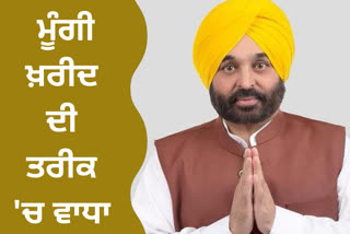 MSP ਉਤੇ ਮੂੰਗੀ ਦੀ ਖ਼ਰੀਦ ਦੀ ਮਿਤੀ 10 ਅਗਸਤ ਤੱਕ ਵਧਾਈ