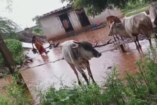 ಜೋಪಡಿಗಳಿಗೆ ನುಗ್ಗಿದ ನೀರು