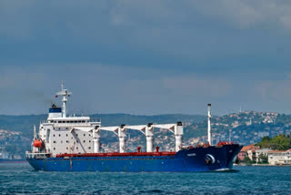 The Sierra Leone-flagged Razoni took 26,000 tonnes of maize through a specially designated corridor in the mine-infested waters of the Black Sea before reaching the northern edge of the Bosphorus Strait on Tuesday.