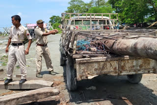 Illegal timber trade in Dibrugarh