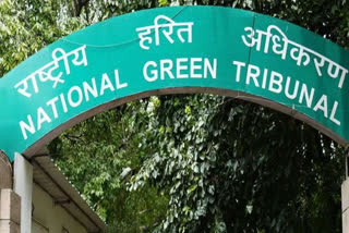 National Green Tribunal