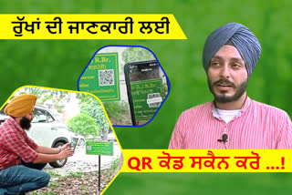 Know About Trees,Tree with Scan QR Code, QR Code near tree, GNDU, Amritsar