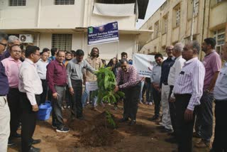 Plantation Program in Gujarat : રાજ્યપાલના આહવાનને અનુરૂપ આણંદની યુનિવર્સિટી
