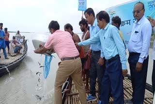 two-lakh-fishes-released-in-ganges-river-in-sahibganj