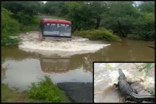 chamarajanagara rain effect