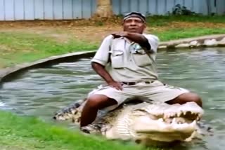 men stunt with dangerous crocodile