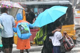 kerala rain  kerala weather updates  heavy rain in kerala  kerala rain holiday for schools  കേരളത്തില്‍ കനത്ത മഴ  വിദ്യാഭ്യാസ സ്ഥാപനങ്ങള്‍ക്ക് അവധി  സംസ്ഥാനത്ത് കനത്ത മഴ  കനത്ത മഴ തുടരുന്നു