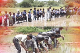 Soil for is our soul company conducted a farm festival in naginenipally yadadri bhongir district