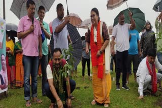 tree-plantation-programme-in-kokrajhar-for-uppl-7th-foundation-day