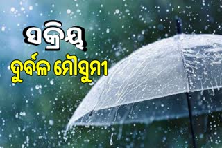 Weather Update: ଆସନ୍ତା ୧୦ ଯାଏଁ ପ୍ରବଳ ବର୍ଷା, ୧୫ ଜିଲ୍ଲାକୁ ୟେଲୋ ଆଲର୍ଟ