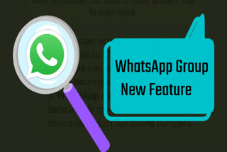 WhatsApp Feature