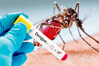 first dengue death in kolkata