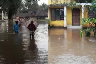 ദുരിതത്തിലായി വൈക്കത്തെ കുടുംബങ്ങൾ  വൈക്കത്ത് വെള്ളപ്പൊക്കം  കോട്ടയത്ത് കനത്ത മഴ  വൈക്കത്ത് മഴ  RAIN IN KOTTAYAM  HEAVY RAIN IN VAIKOM  FLOOD IN VAIKOM