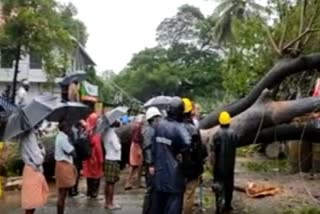 Thousands evacuated in Kerala as rivers swell