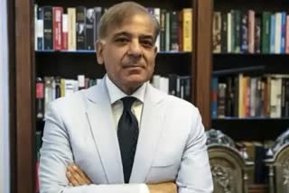 shahbaz sharif