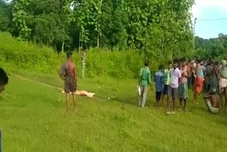 women killed by an elephant in cuttack