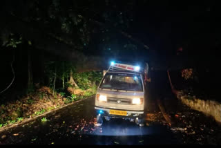 A Tree fell down on A Vehicle in Aagumbe ghat