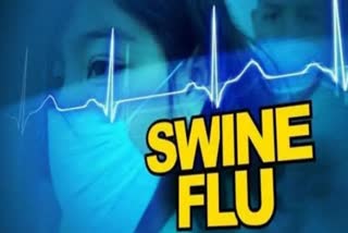 Swine flu patients found in Satara