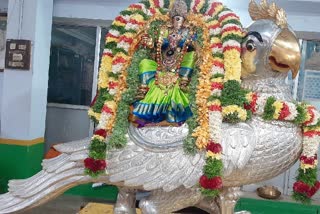 வெள்ளிக் கிளி வாகனத்தில் மீனாட்சி அம்மன்