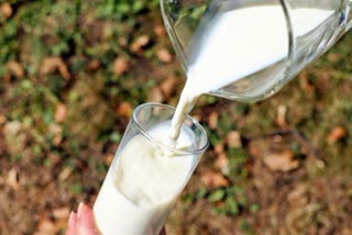 Khargone News Raid at Modern dairy