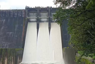 തെന്മല പരപ്പാര്‍ ഡാം  പരപ്പാര്‍ ഡാം  തെന്മല  parappar dam opened  kollam thenmala parappar dam  thenmala parappar dam opened  കൊല്ലം തെന്മല പരപ്പാർ ഡാം തുറന്നു  അണക്കെട്ടിന്‍റെ ഷട്ടറുകള്‍ 20 സെന്‍റീമീറ്ററാണ് ഉയര്‍ത്തിയത്  ഡാമിലെ ജലനിരപ്പ്  kerala rains  kerala rain updates  kollam thenmala  kerala rain live updates