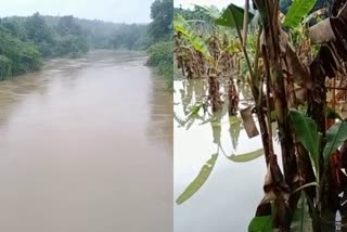 Latest Rain updates in kozhikode  കോഴിക്കോട് മഴ അതിശക്തം  മഴ അതിശക്തം  കൃഷിയിടങ്ങളില്‍ വെള്ളം കയറി  മലപ്പെള്ളപ്പാച്ചില്‍  മഴ ശക്തം  ഇരുവഴിഞ്ഞി പുഴ  ദുരന്തനിവാരണ സേന  കേരളം മഴ  മഴക്കെടുതി  മഴ മുന്നറിയിപ്പ്  മഴ വാര്‍ത്ത  കേരള വാര്‍ത്ത  കേരളം പുതിയ വാര്‍ത്തകള്‍  ജില്ല വാര്‍ത്തകള്‍  kerala rain news today  kerala rain highlights  Kerala Weather News Live Updates  Kerala Rains Today News Live Updates  Heavy Rains  kerala rain news  കേരള വാര്‍ത്ത  മഴ വാര്‍ത്ത  അഗ്നിരക്ഷാസേന  കോഴിക്കോട് മഴ അതിശക്തം