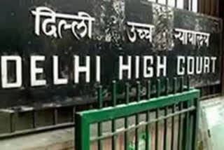 Delhi HC refuses to ban kite flying