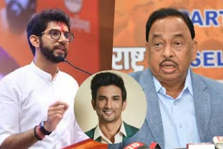 aaditya thackeray narayan rane