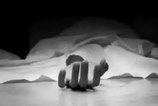 BSF jawan shoots himself dead in J-K