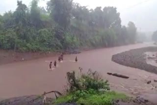 છોટા ઉદેપુરમાં બાળકો જીવના જોખમે નદી પસાર કરતા નજરે ચડ્યા