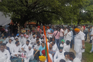 No enthusiasm in the protest of Haryana Congress