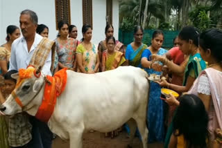 BABY SHOWER TO COW
