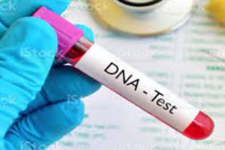 DNA result